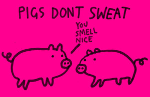 Do pigs even sweat?